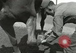 Standbild 287 Military Police Company Berlin Deutschland, 1957, aus Sekunde 34 historischem Filmmaterial Videoclip 65675062914
