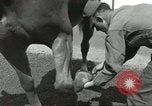 Standbild 287 Military Police Company Berlin Deutschland, 1957, aus Sekunde 35 historischem Filmmaterial Videoclip 65675062914