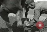 Standbild 287 Military Police Company Berlin Deutschland, 1957, aus Sekunde 36 historischem Filmmaterial Videoclip 65675062914