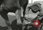 Standbild 287 Military Police Company Berlin Deutschland, 1957, aus Sekunde 38 historischem Filmmaterial Videoclip 65675062914