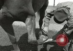 Standbild 287 Military Police Company Berlin Deutschland, 1957, aus Sekunde 40 historischem Filmmaterial Videoclip 65675062914