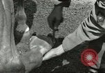 Standbild 287 Military Police Company Berlin Deutschland, 1957, aus Sekunde 43 historischem Filmmaterial Videoclip 65675062914