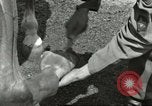 Standbild 287 Military Police Company Berlin Deutschland, 1957, aus Sekunde 45 historischem Filmmaterial Videoclip 65675062914