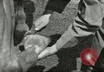 Standbild 287 Military Police Company Berlin Deutschland, 1957, aus Sekunde 48 historischem Filmmaterial Videoclip 65675062914