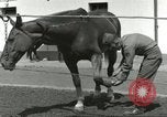Standbild 287 Military Police Company Berlin Deutschland, 1957, aus Sekunde 56 historischem Filmmaterial Videoclip 65675062914