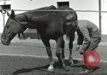 Standbild 287 Military Police Company Berlin Deutschland, 1957, aus Sekunde 57 historischem Filmmaterial Videoclip 65675062914