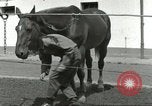Standbild 287 Military Police Company Berlin Deutschland, 1957, aus Sekunde 59 historischem Filmmaterial Videoclip 65675062914