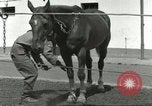 Standbild 287 Military Police Company Berlin Deutschland, 1957, aus Sekunde 61 historischem Filmmaterial Videoclip 65675062914