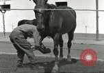 Standbild 287 Military Police Company Berlin Deutschland, 1957, aus Sekunde 62 historischem Filmmaterial Videoclip 65675062914