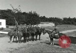 Standbild 287 Military Police Company Berlin Deutschland, 1957, aus Sekunde 9 historischem Filmmaterial Videoclip 65675062915