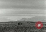 Standbild amerikanischen Fallschirmjäger Europa, 1960, aus Sekunde 6 historischem Filmmaterial Videoclip 65675062927