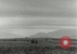 Standbild amerikanischen Fallschirmjäger Europa, 1960, aus Sekunde 7 historischem Filmmaterial Videoclip 65675062927