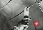 Standbild amerikanischen Fallschirmjäger Europa, 1960, aus Sekunde 53 historischem Filmmaterial Videoclip 65675062927