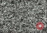 Image of Austrian independence ceremony 1955 Vienna Austria, 1955, second 11 stock footage video 65675062931
