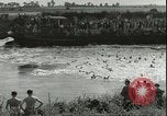 Image championnat de natation junior Holland Hollande, 1955, de la seconde 9 séquences d'archives historiques vidéo 65675062936