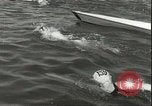 Image championnat de natation junior Holland Hollande, 1955, de la seconde 16 séquences d'archives historiques vidéo 65675062936