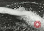 Image championnat de natation junior Holland Hollande, 1955, de la seconde 22 séquences d'archives historiques vidéo 65675062936