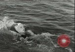 Image championnat de natation junior Holland Hollande, 1955, de la seconde 27 séquences d'archives historiques vidéo 65675062936