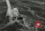 Image championnat de natation junior Holland Hollande, 1955, de la seconde 30 séquences d'archives historiques vidéo 65675062936