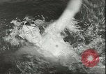 Image championnat de natation junior Holland Hollande, 1955, de la seconde 32 séquences d'archives historiques vidéo 65675062936