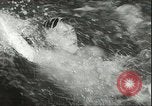 Image championnat de natation junior Holland Hollande, 1955, de la seconde 35 séquences d'archives historiques vidéo 65675062936
