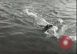 Image championnat de natation junior Holland Hollande, 1955, de la seconde 38 séquences d'archives historiques vidéo 65675062936