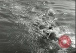 Image championnat de natation junior Holland Hollande, 1955, de la seconde 39 séquences d'archives historiques vidéo 65675062936