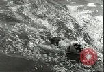 Image championnat de natation junior Holland Hollande, 1955, de la seconde 40 séquences d'archives historiques vidéo 65675062936