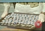 Standbild USS Forellen Pearl Harbor Hawaii USA, 1942, aus Sekunde 1 historischem Filmmaterial Videoclip 65675062940