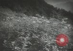 Standbild Japanischen Kinder Japan, 1939, aus Sekunde 18 historischem Filmmaterial Videoclip 65675062942