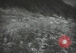 Standbild Japanischen Kinder Japan, 1939, aus Sekunde 19 historischem Filmmaterial Videoclip 65675062942
