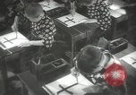 Image of Japanese children at summer camp Japan, 1939, second 37 stock footage video 65675062943