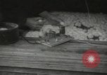 Image of Japanese children at summer camp Japan, 1939, second 49 stock footage video 65675062943