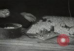 Image of Japanese children at summer camp Japan, 1939, second 50 stock footage video 65675062943