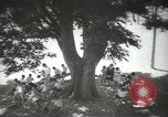 Image of Japanese children at summer camp Japan, 1939, second 59 stock footage video 65675062943