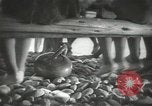 Image of Japanese children at summer camp Japan, 1939, second 62 stock footage video 65675062943