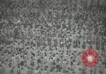 Image of Japanese children bow at shrine on the way to school Japan, 1939, second 25 stock footage video 65675062944