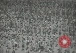 Image of Japanese children bow at shrine on the way to school Japan, 1939, second 27 stock footage video 65675062944
