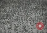 Image of Japanese children bow at shrine on the way to school Japan, 1939, second 28 stock footage video 65675062944