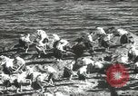 Image of Japanese men Japan, 1939, second 47 stock footage video 65675062953
