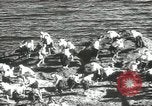 Image of Japanese men Japan, 1939, second 48 stock footage video 65675062953