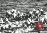 Image of Japanese men Japan, 1939, second 49 stock footage video 65675062953