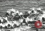 Image of Japanese men Japan, 1939, second 50 stock footage video 65675062953