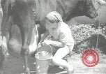 Image civils palestiniens Palestine, 1938, de la seconde 53 séquences d'archives historiques vidéo 65675062956