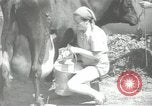 Image civils palestiniens Palestine, 1938, de la seconde 54 séquences d'archives historiques vidéo 65675062956