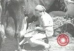 Image civils palestiniens Palestine, 1938, de la seconde 55 séquences d'archives historiques vidéo 65675062956