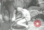 Image civils palestiniens Palestine, 1938, de la seconde 57 séquences d'archives historiques vidéo 65675062956