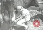 Image civils palestiniens Palestine, 1938, de la seconde 58 séquences d'archives historiques vidéo 65675062956