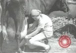 Image civils palestiniens Palestine, 1938, de la seconde 60 séquences d'archives historiques vidéo 65675062956