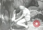 Image civils palestiniens Palestine, 1938, de la seconde 61 séquences d'archives historiques vidéo 65675062956